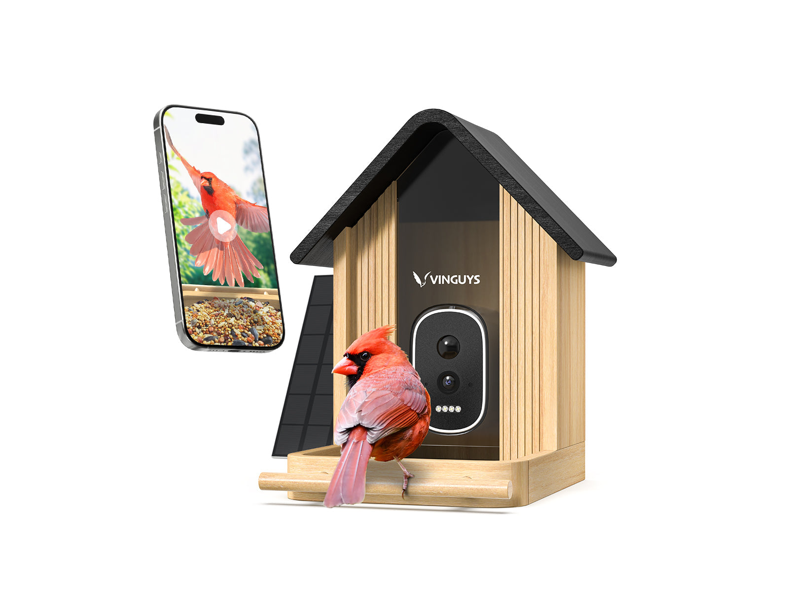 Bamboo Feeder