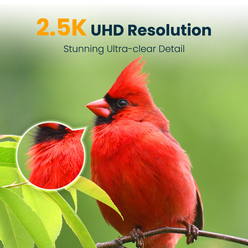 VINGUYS Smart Bird Feeder with Camera V-Feeder Bamboo