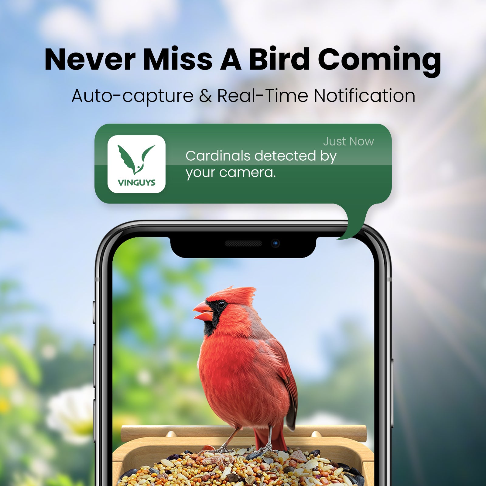 VINGUYS Smart Bird Feeder with Camera V-Feeder Bamboo