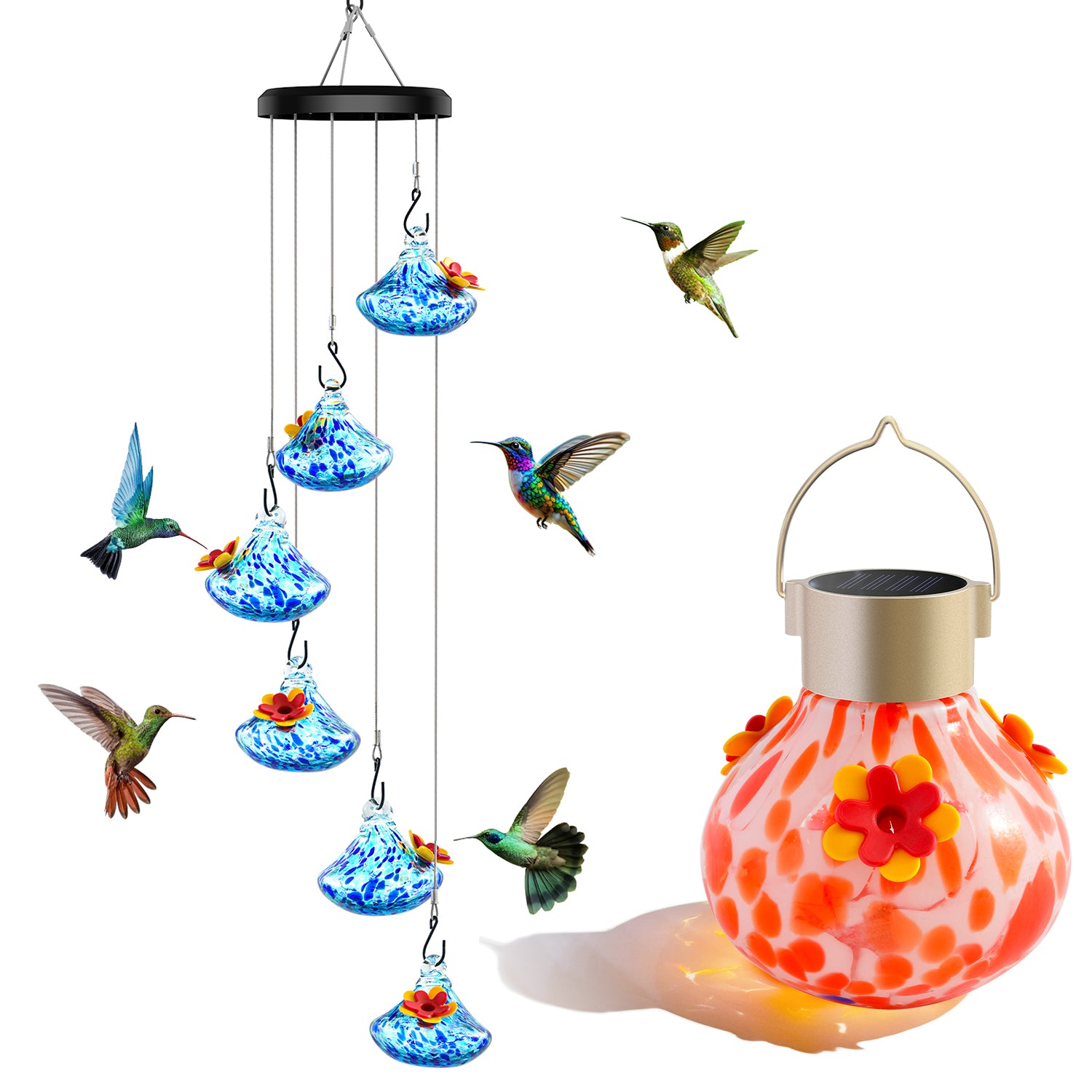 Vinguys Hummingbird Lover Set