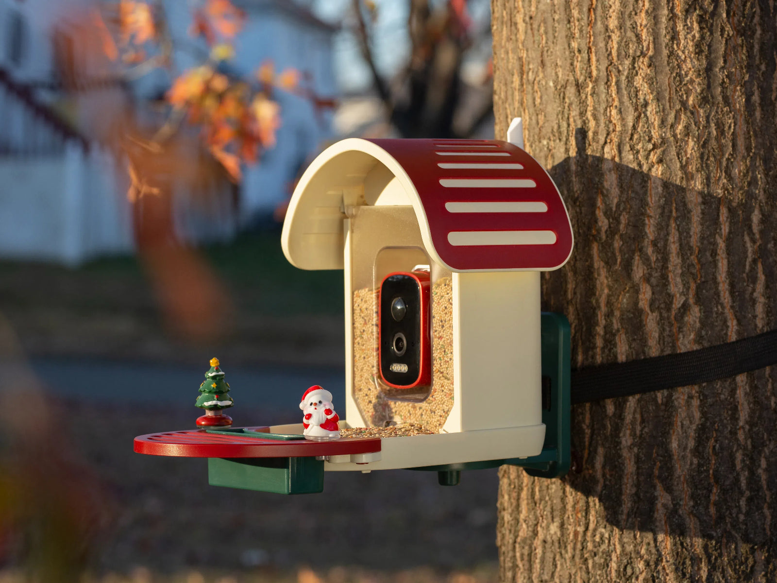 Where to Place Your Vinguys Bird Feeder: A Guide to Holiday Decor