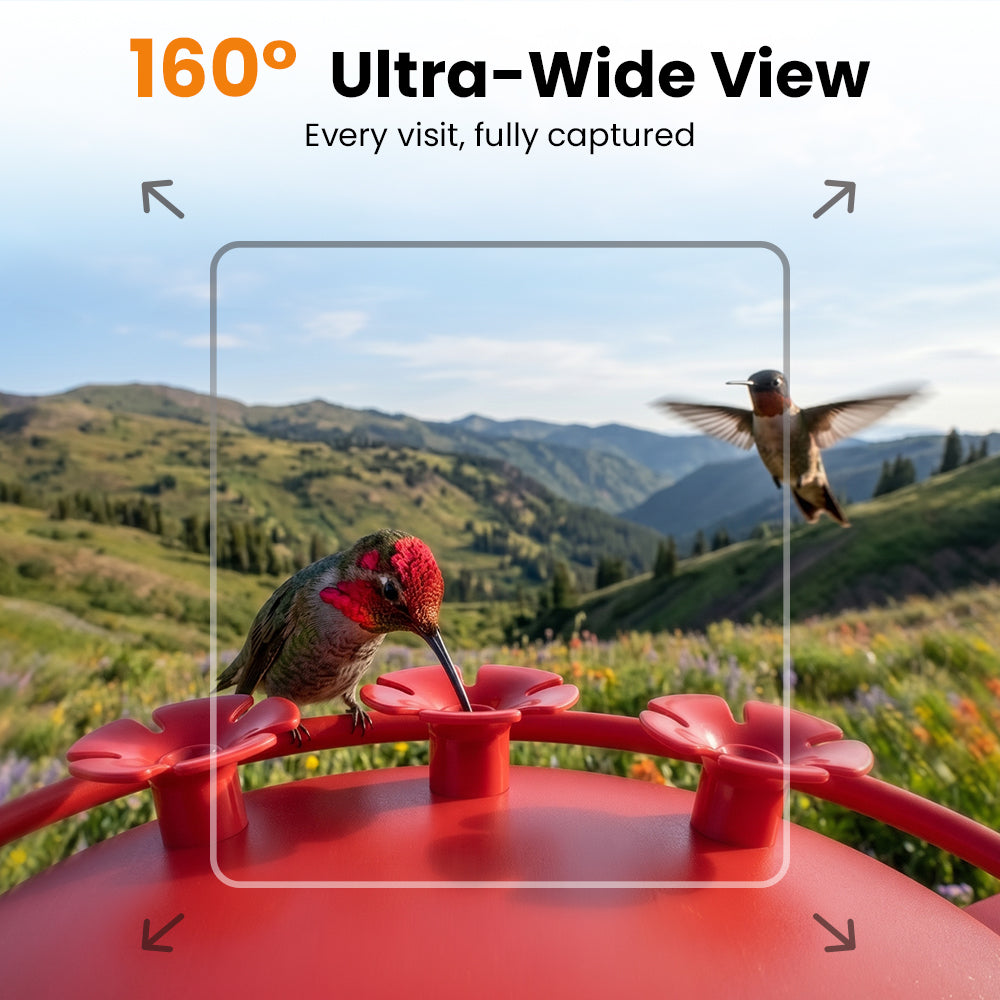 VINGUYS V-Humbird Feeder Smart Hummingbird Feeder 160° Wide View Camera
