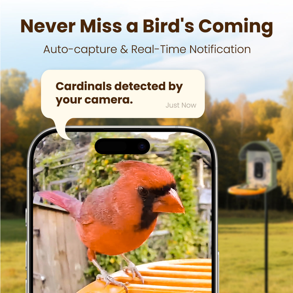 VINGUYS Smart Bird Feeder V-Feeder 2.5K Camera