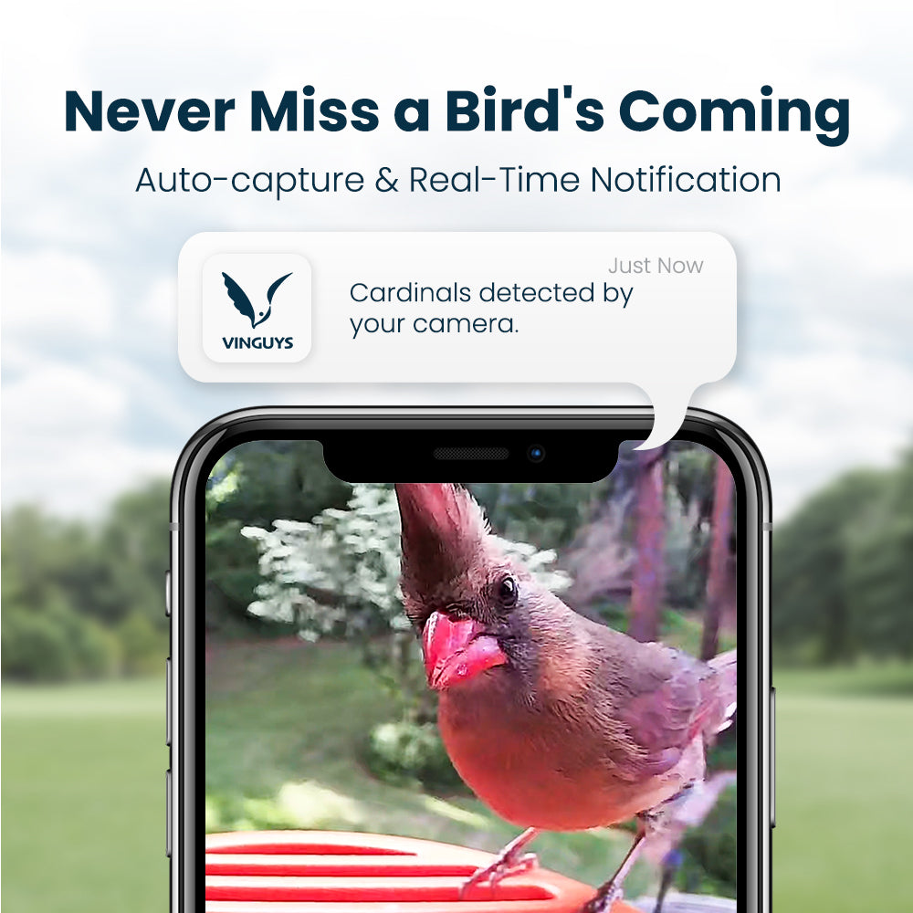 VINGUYS Smart Bird Feeder V-Feeder 2.5K Camera