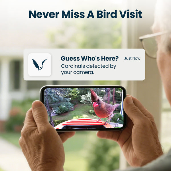 VINGUYS V-Feeder AI Smart Bird Feeder 2.5K Camera