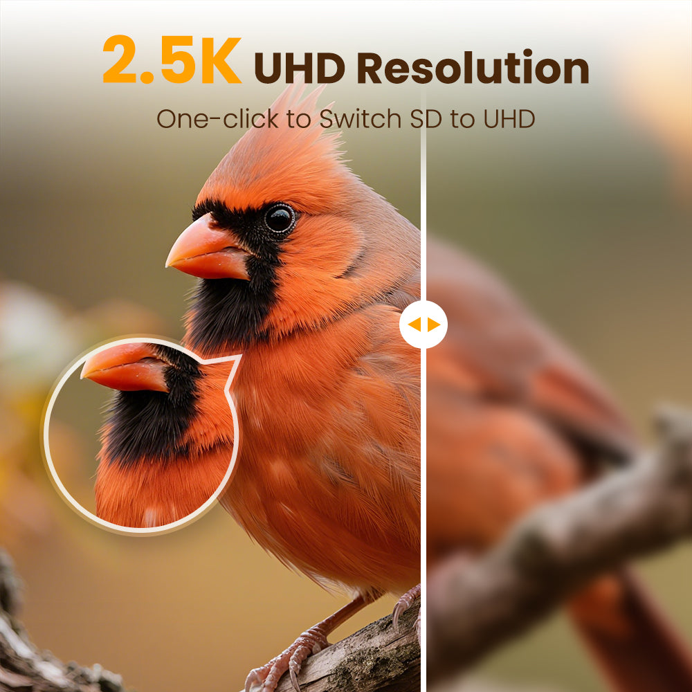 VINGUYS Smart Bird Feeder V-Feeder 2.5K Camera