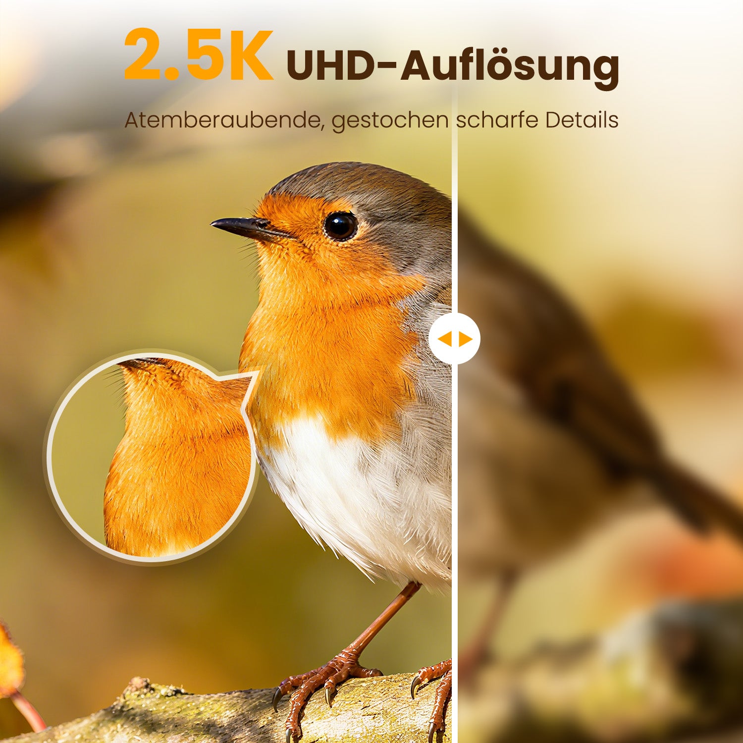 VINGUYS Intelligenter Vogelhäuschen-Futterspender V-Feeder mit 2.5K-Kamera