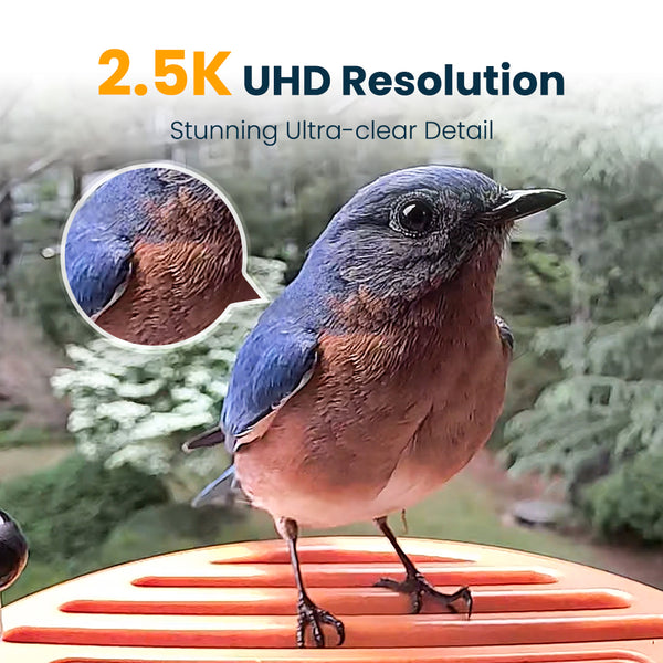 VINGUYS Smart Bird Feeder V-Feeder 2.5K Camera