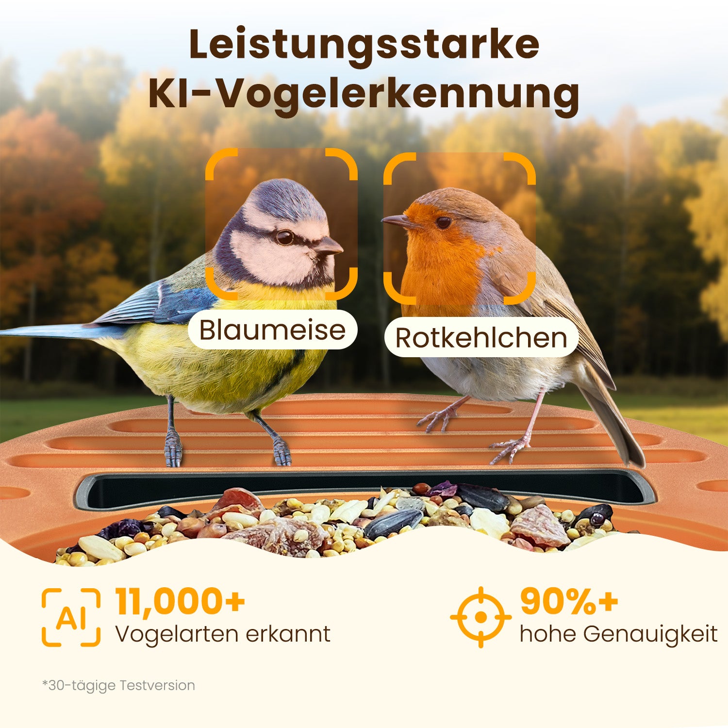 VINGUYS Intelligenter Vogelhäuschen-Futterspender V-Feeder mit 2.5K-Kamera