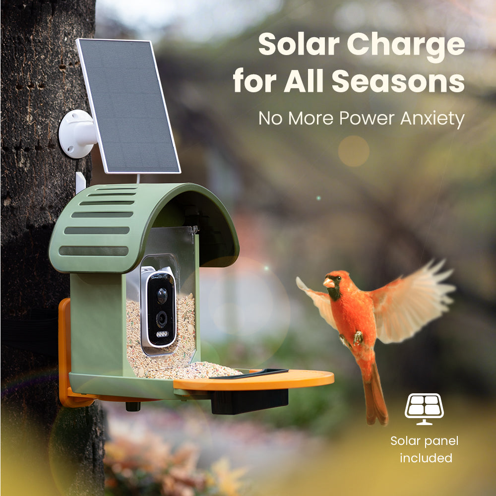VINGUYS Smart Bird Feeder V-Feeder 2.5K Camera
