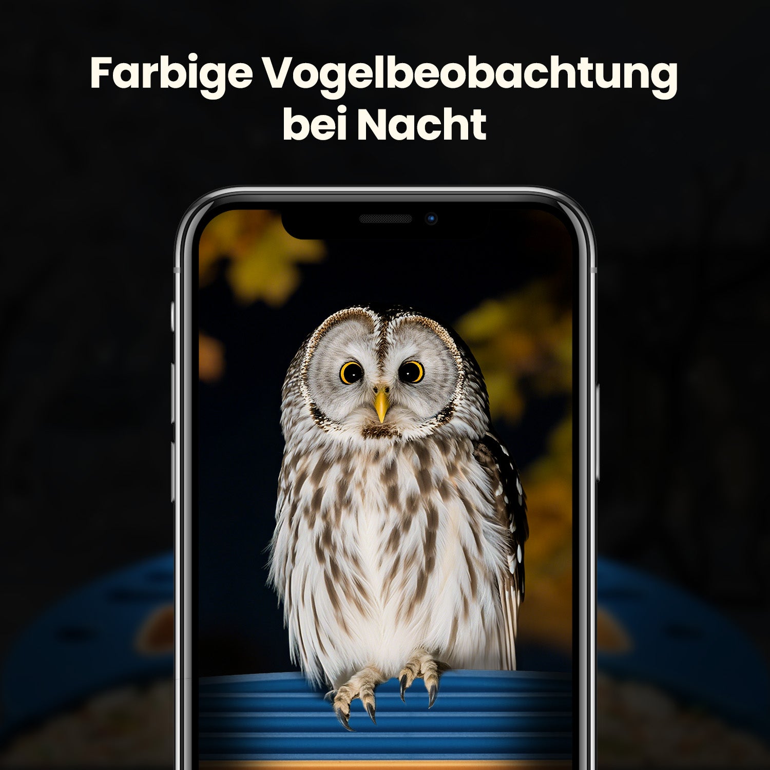 VINGUYS Intelligenter Vogelhäuschen-Futterspender V-Feeder mit 2.5K-Kamera