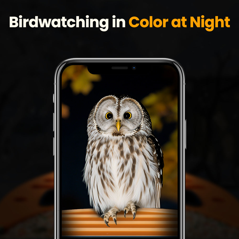 VINGUYS Smart Bird Feeder V-Feeder 2.5K Camera