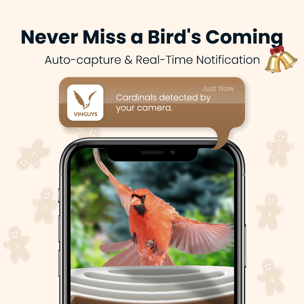 VINGUYS Smart Bird Feeder V-Feeder Special Edition