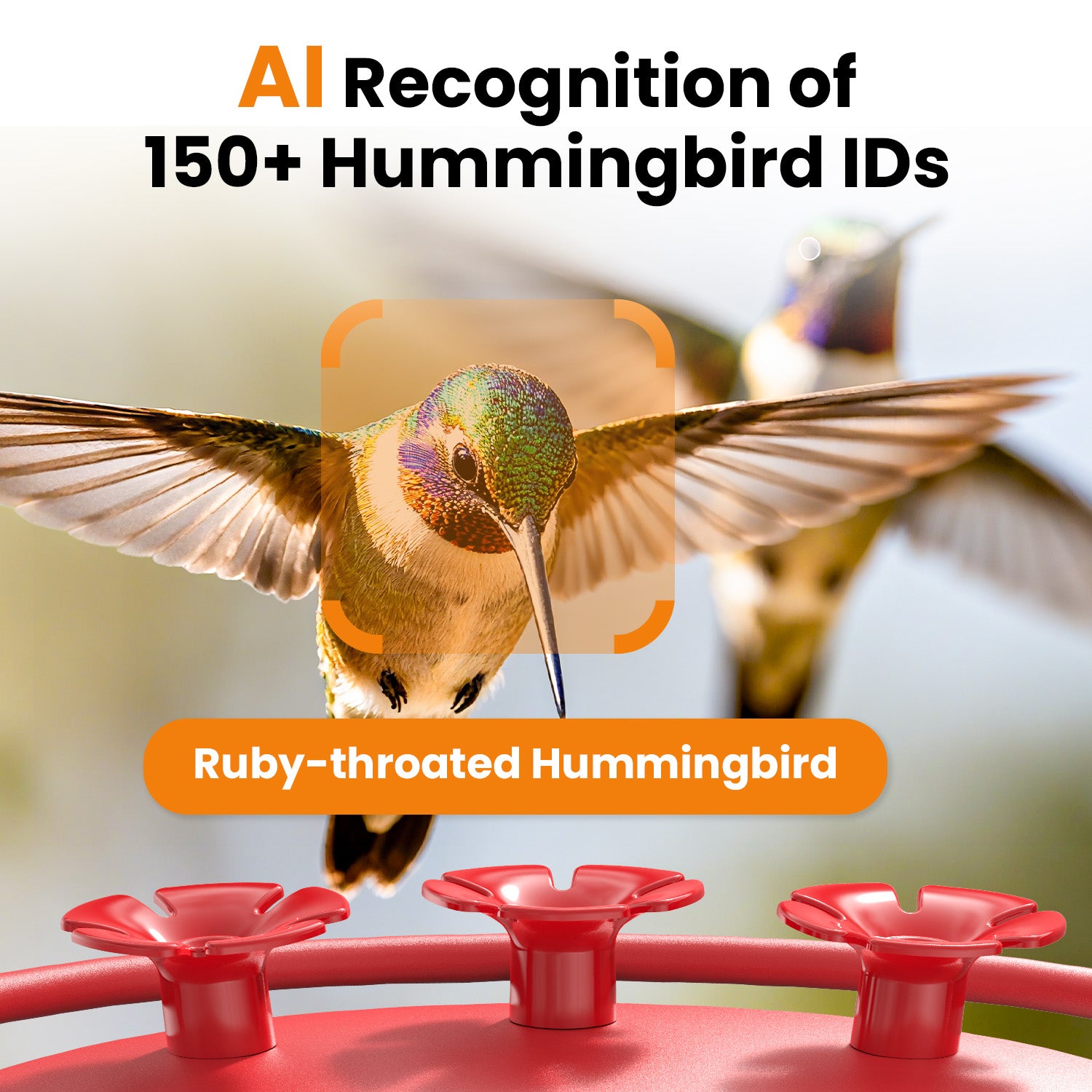 VINGUYS Smart Hummingbird Feeder