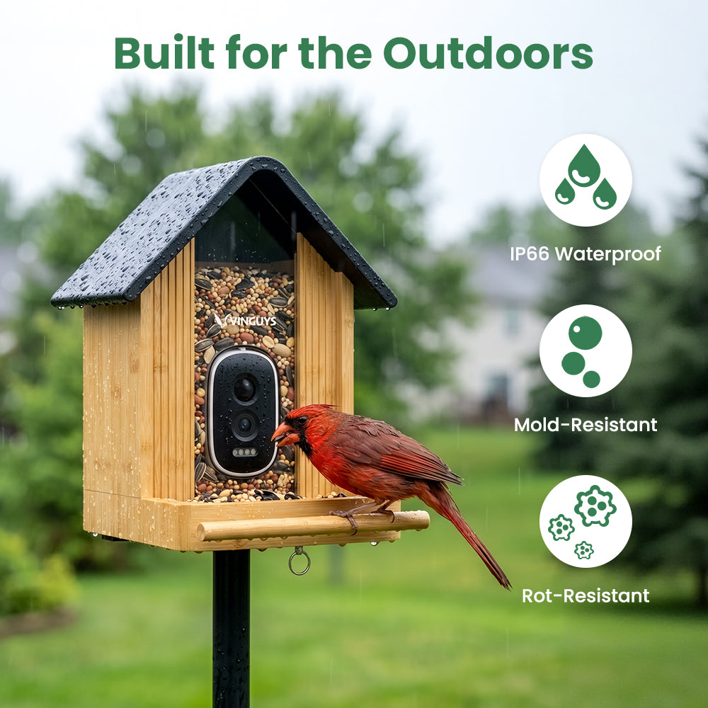 VINGUYS V-Bamboo Smart Bamboo Feeder with Camera