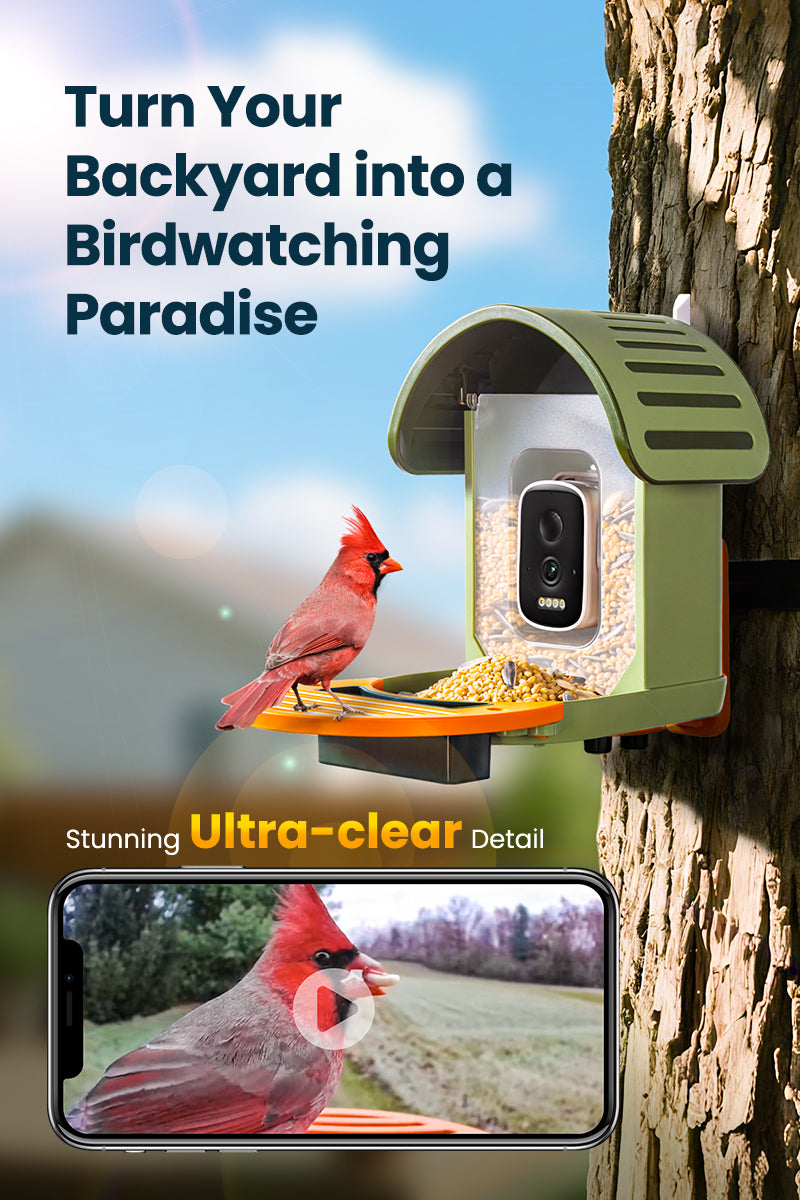 Vinguys Smart Bird Feeder V-Feeder