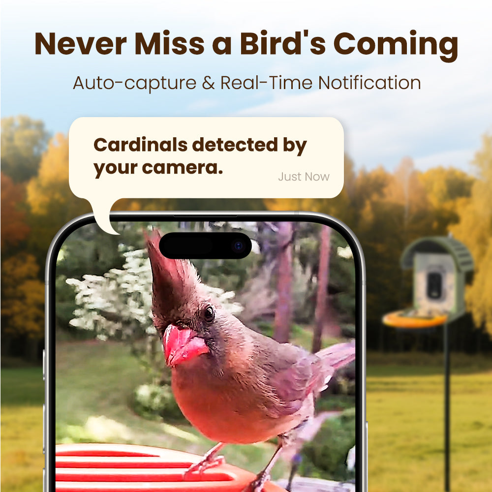 VINGUYS Smart Bird Feeder V-Feeder 2.5K Camera