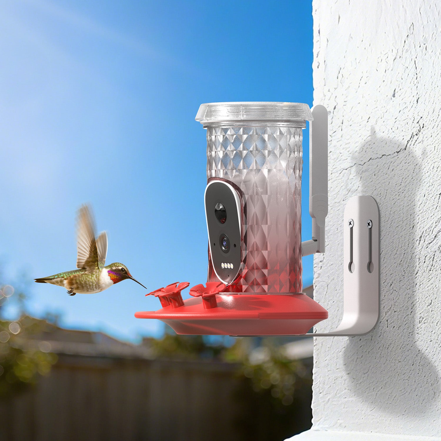 VINGUYS Smart Hummingbird Feeder