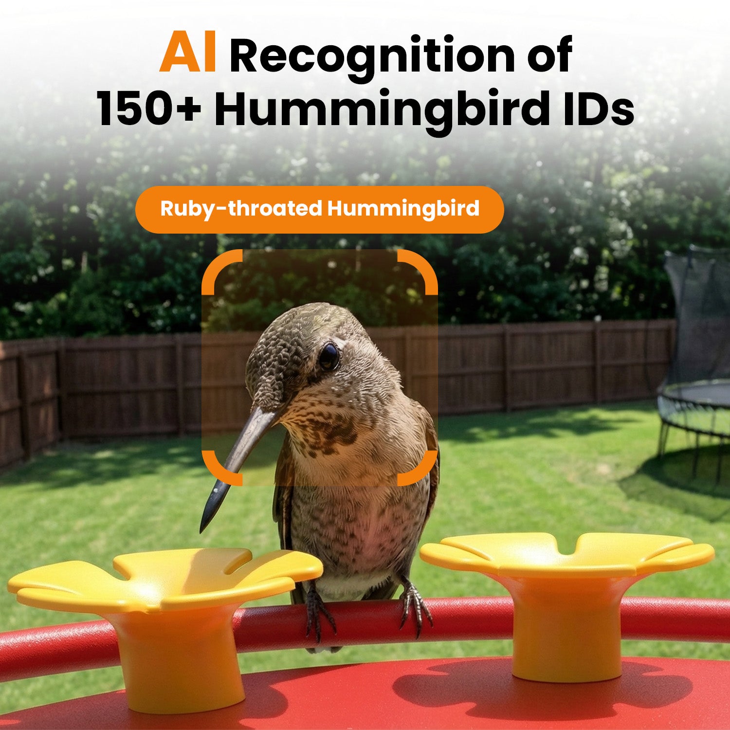 VINGUYS V-Humbird Feeder Smart Hummingbird Feeder 160° Wide View Camera