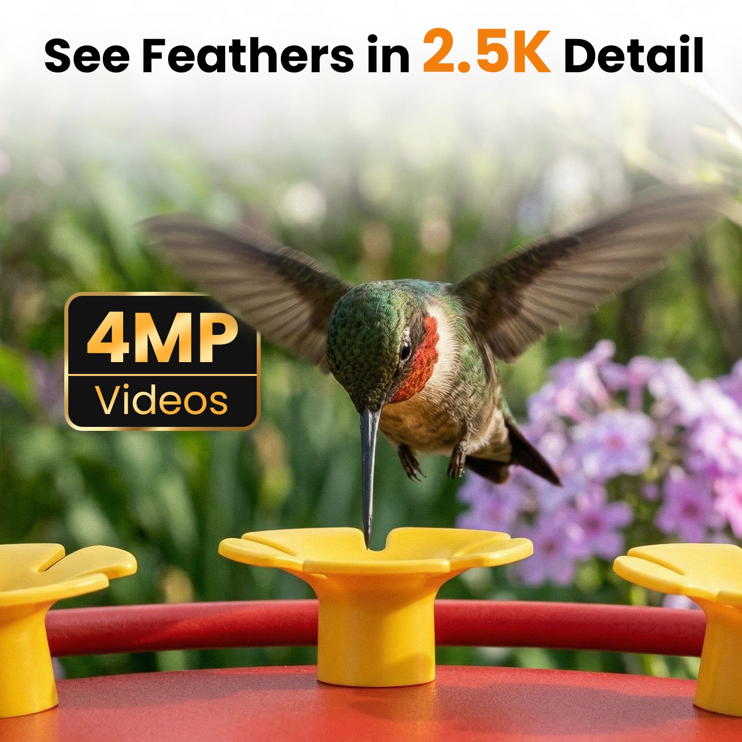 VINGUYS V-Humbird Feeder Smart Hummingbird Feeder 160° Wide View Camera