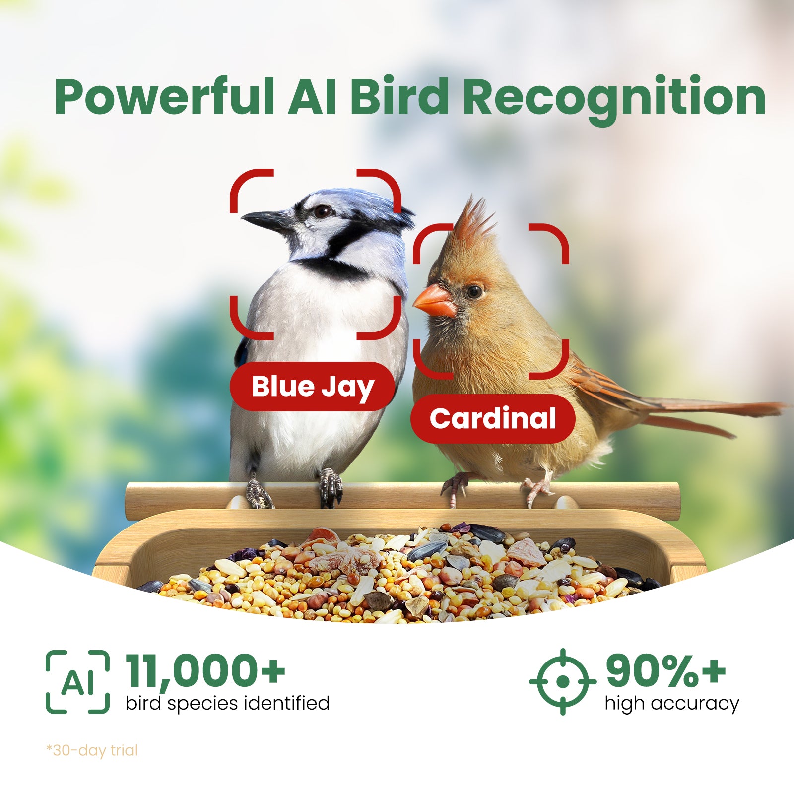 VINGUYS Smart Bird Feeder with Camera V-Feeder Bamboo