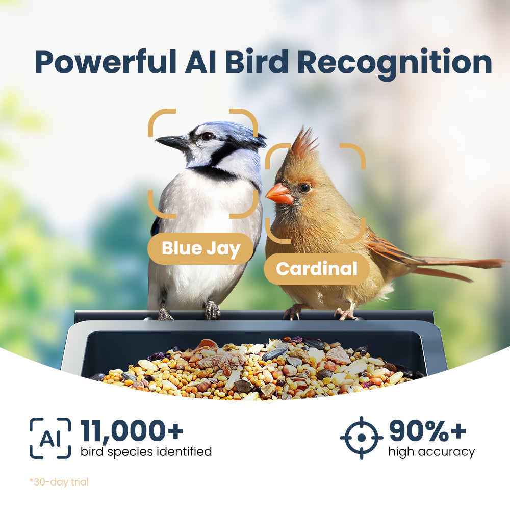 VINGUYS Smart Bird Feeder with Camera V-Feeder Metal