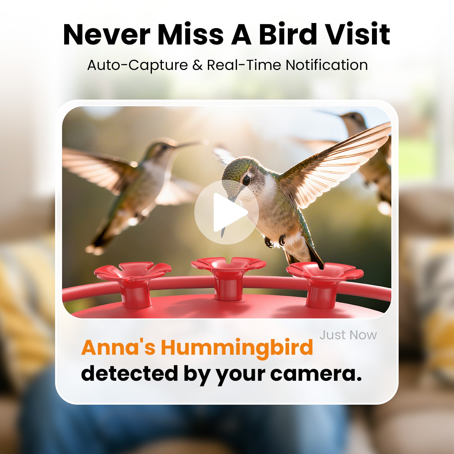 VINGUYS Smart Hummingbird Feeder