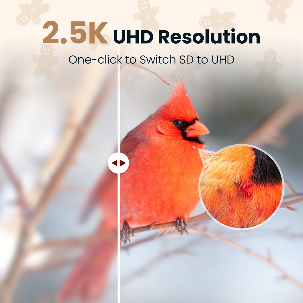 VINGUYS Smart Bird Feeder V-Feeder Special Edition