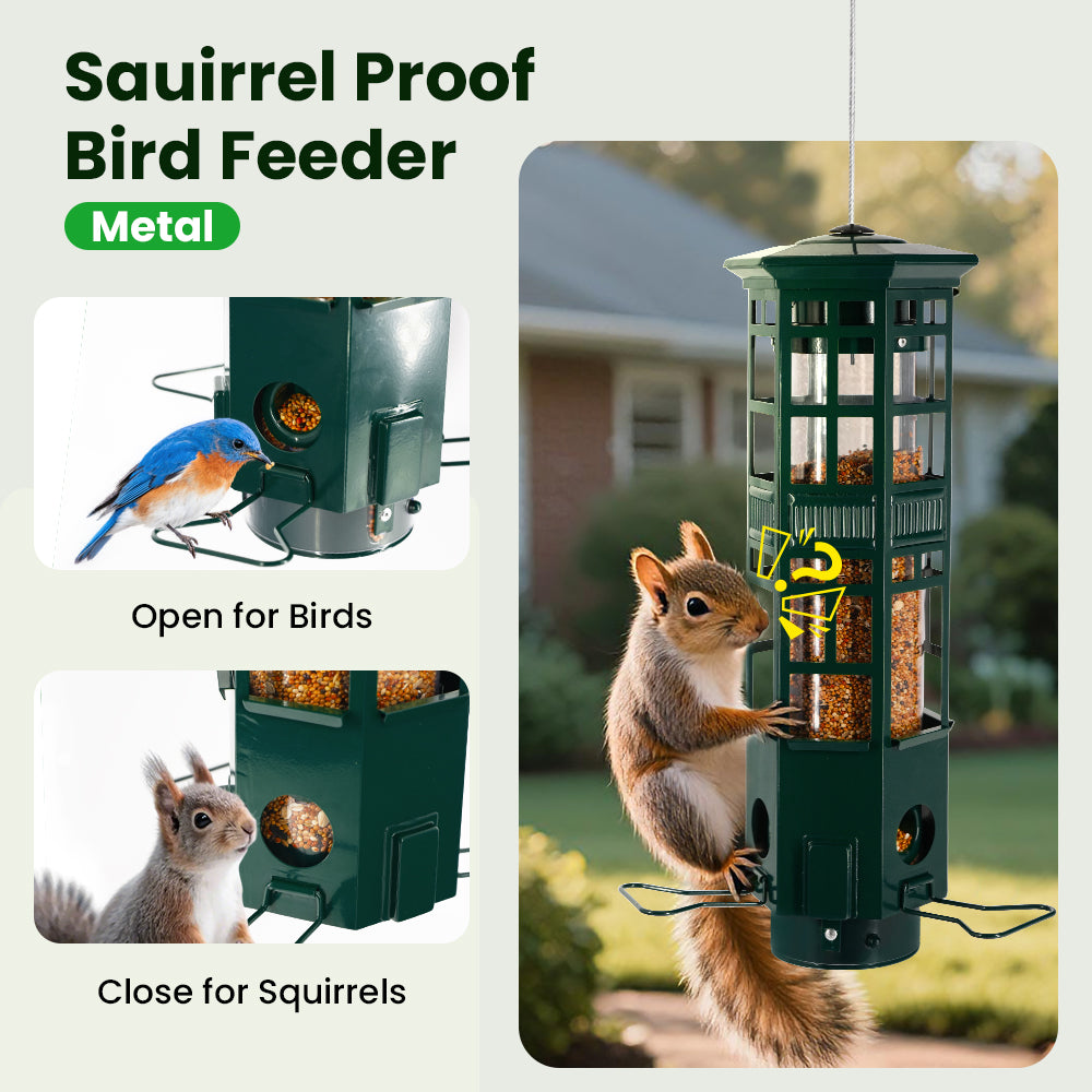 VINGUYS Squirrel Proof Bird Feeder