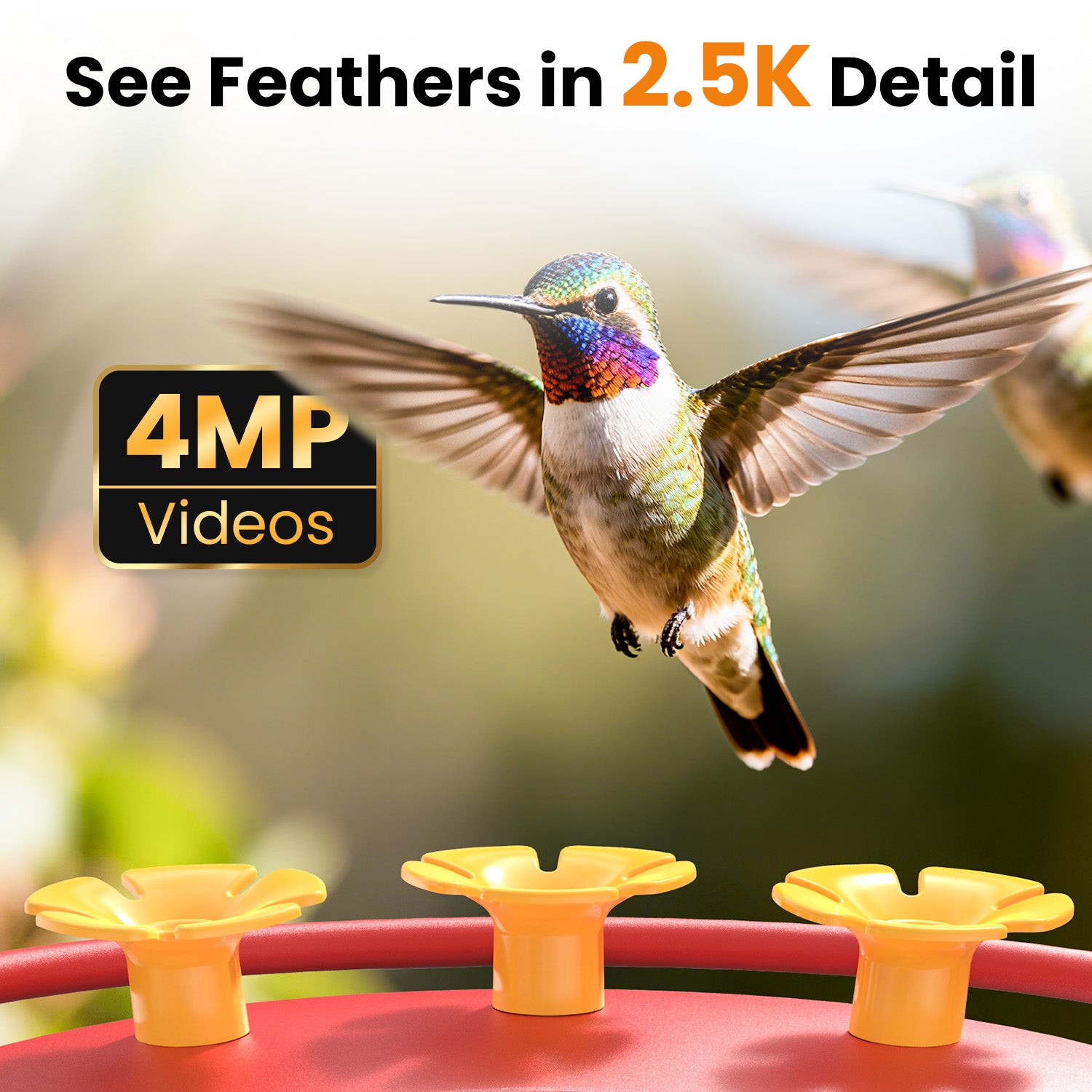 VINGUYS Smart Hummingbird Feeder