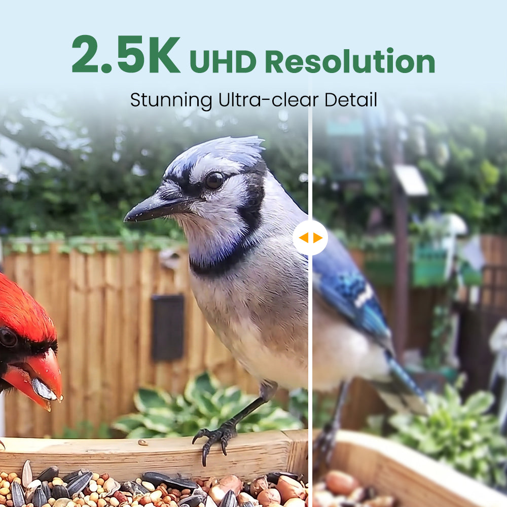 VINGUYS V-Bamboo Smart Bamboo Feeder with Camera