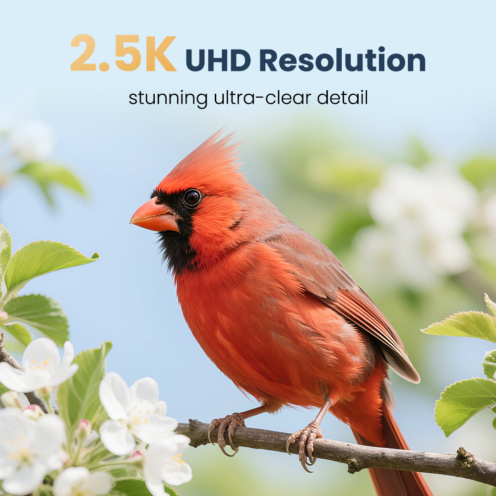 VINGUYS Smart Bird Feeder with Camera V-Feeder Metal