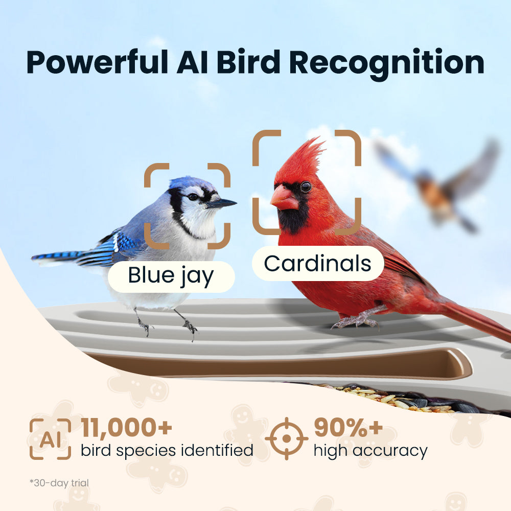 VINGUYS Smart Bird Feeder V-Feeder Special Edition