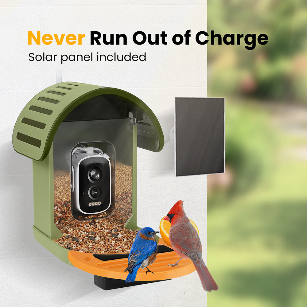 Vinguys Smart Bird Feeder V-Feeder