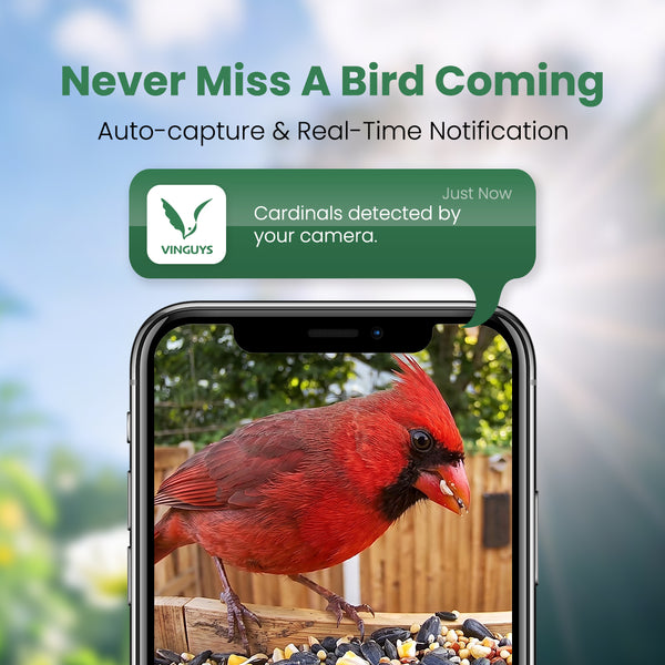 VINGUYS V-Bamboo Smart Bamboo Feeder with Camera