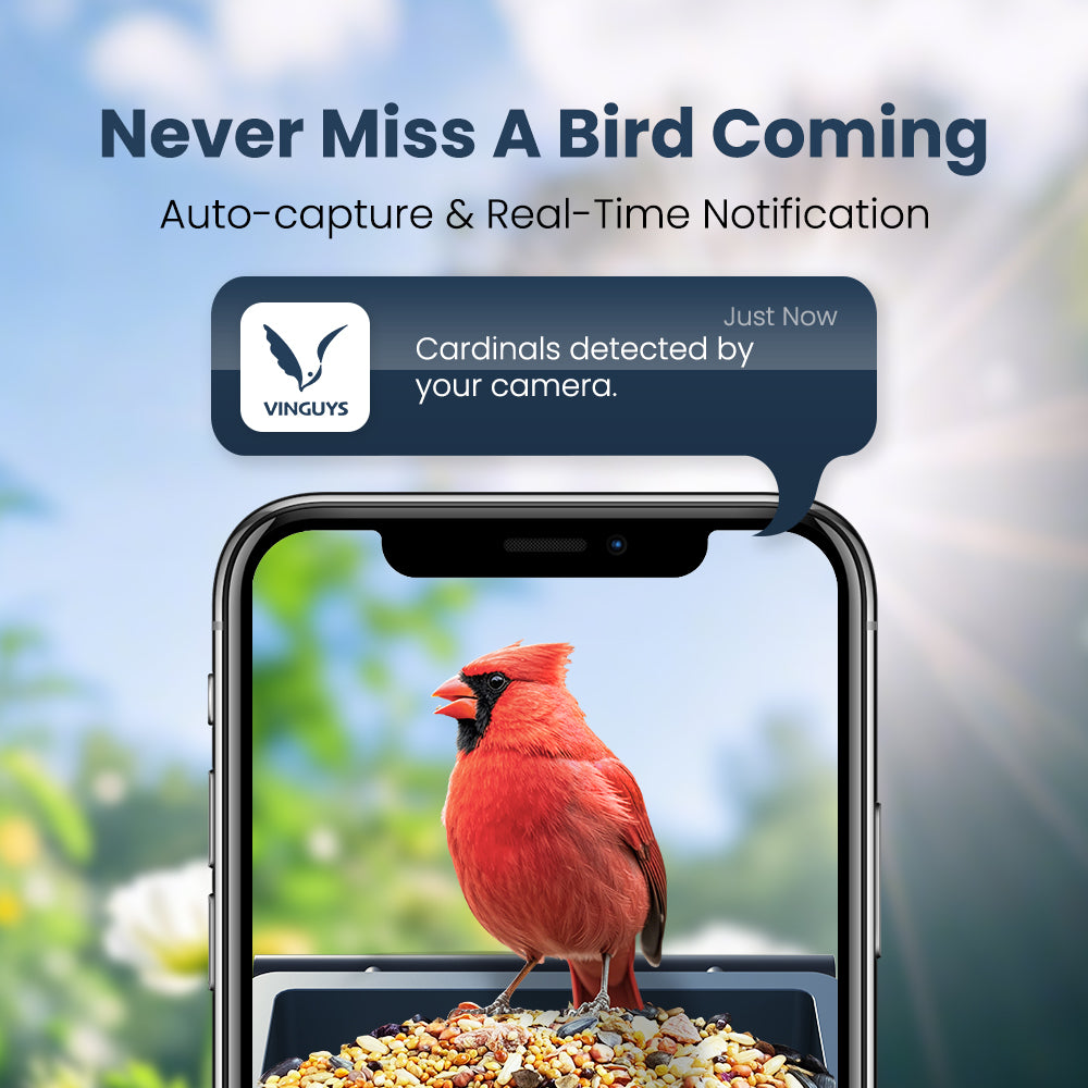 VINGUYS Smart Bird Feeder with Camera V-Feeder Metal