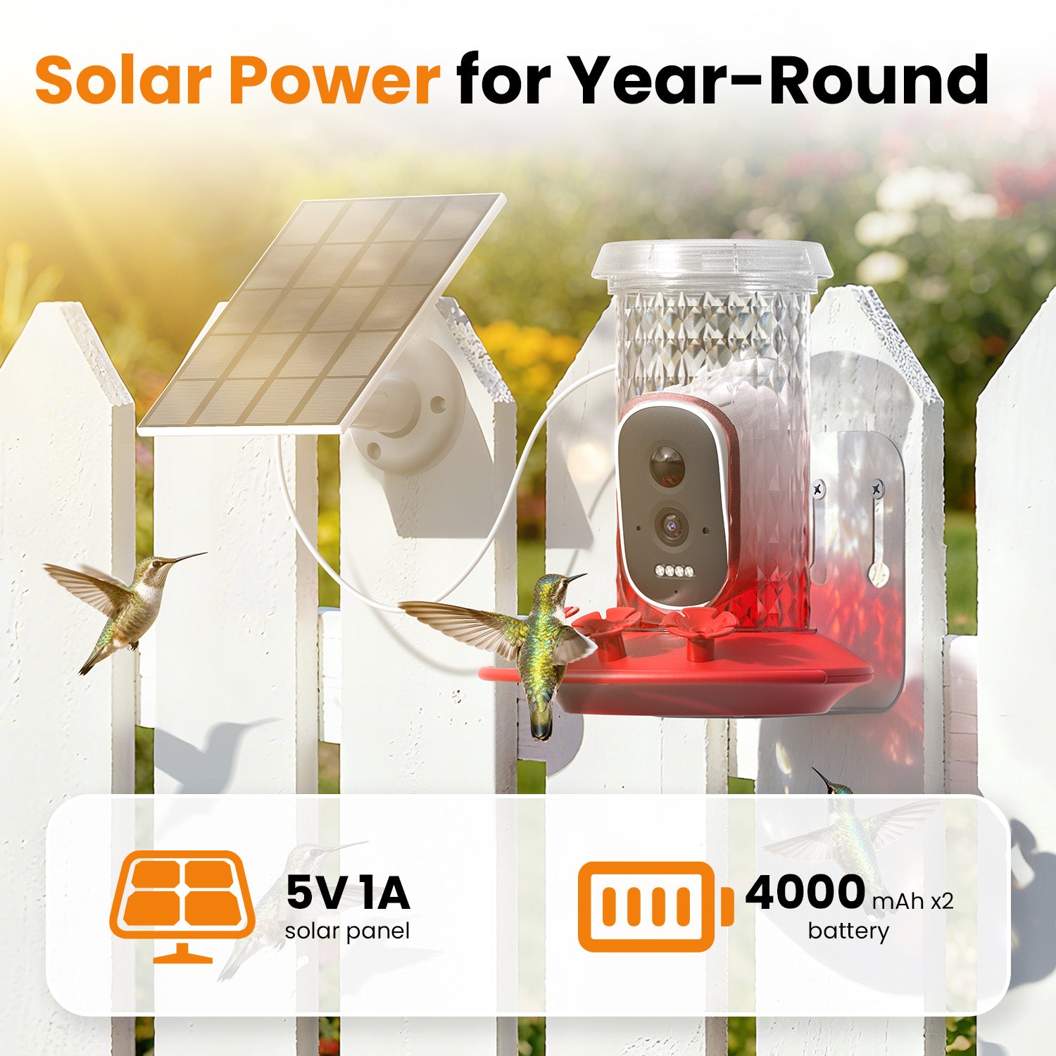 VINGUYS Smart Hummingbird Feeder