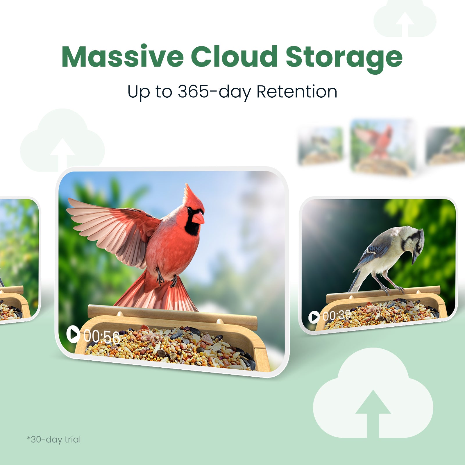 VINGUYS Smart Bird Feeder with Camera V-Feeder Bamboo