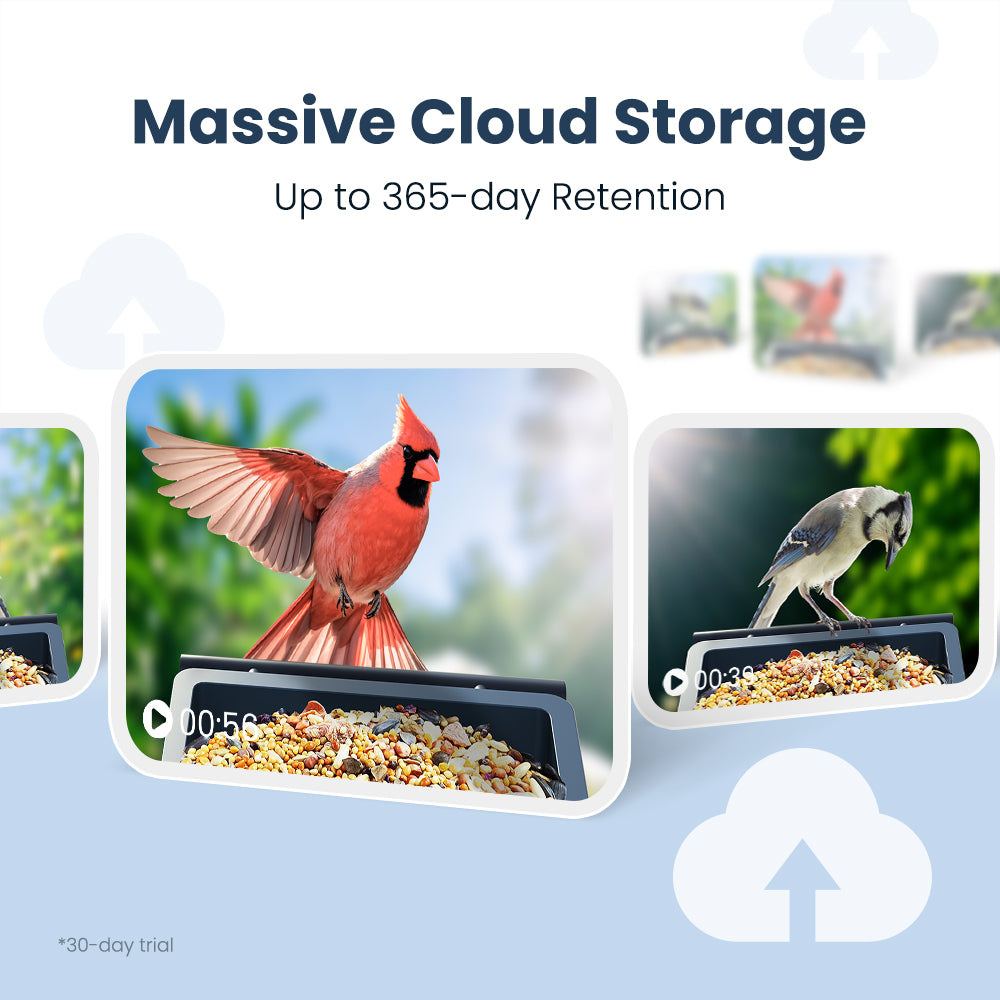 VINGUYS Smart Bird Feeder with Camera V-Feeder Metal