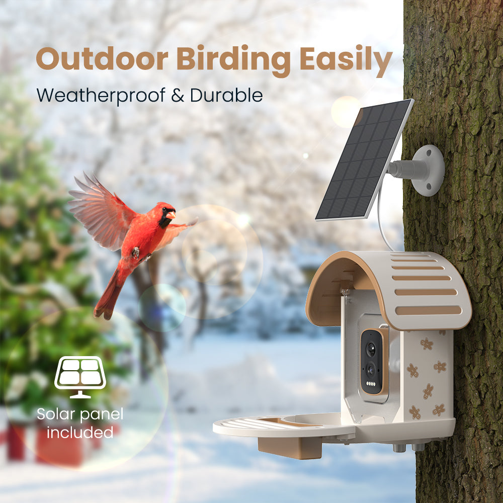 VINGUYS Smart Bird Feeder V-Feeder Special Edition