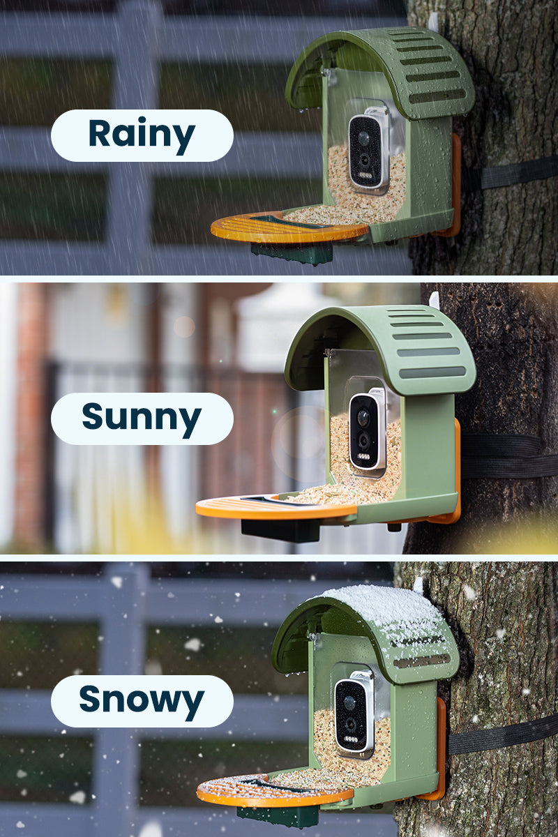 Vinguys Smart Bird Feeder V-Feeder