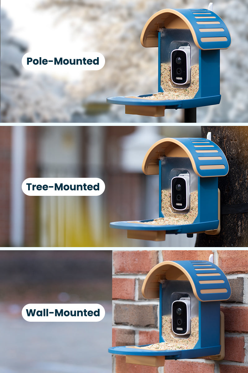 Vinguys Smart Bird Feeder V-Feeder
